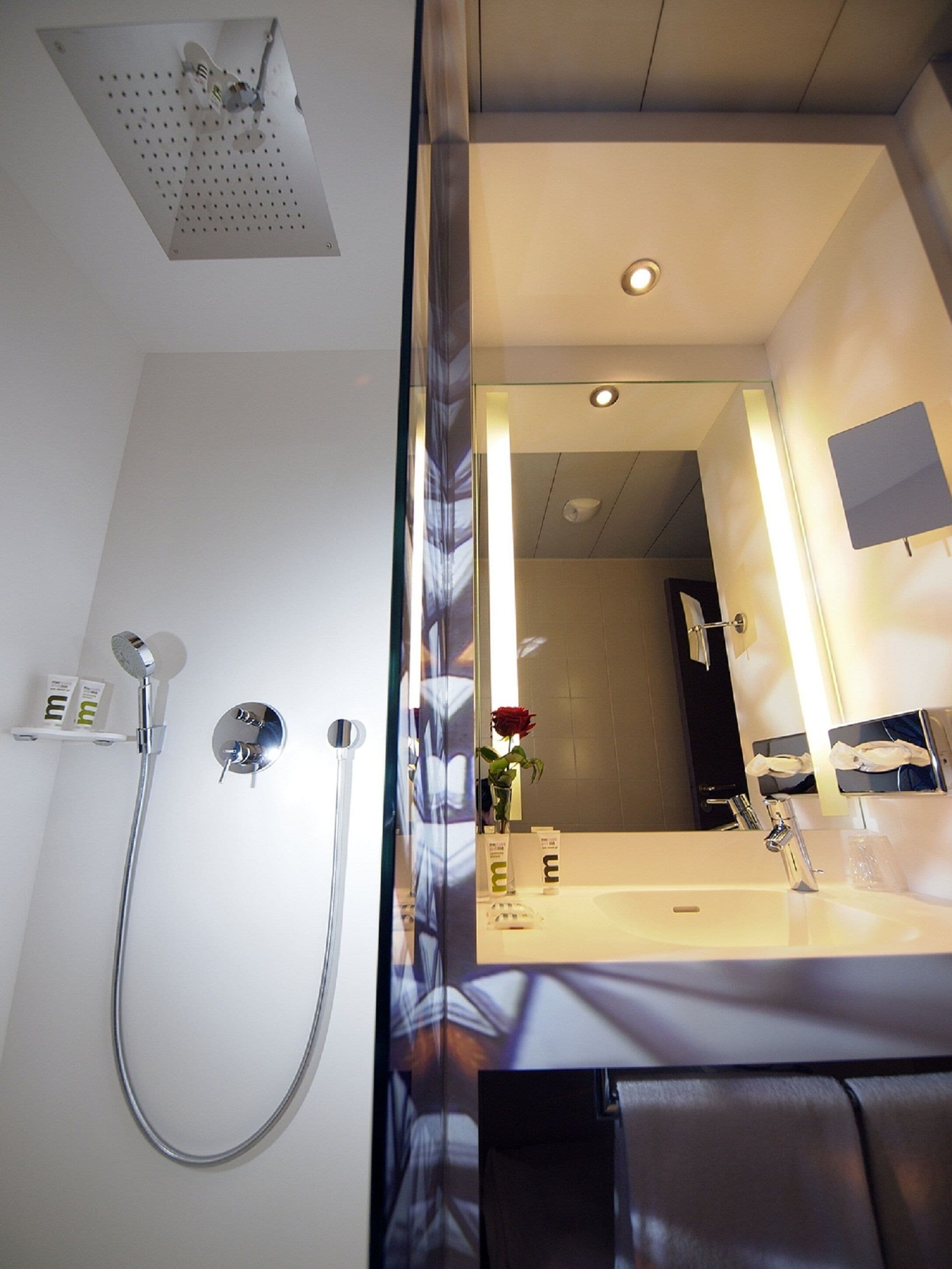 suite, 1 king bed with sofa bed | bathroom | eco-friendly toiletries, hair dryer, towels