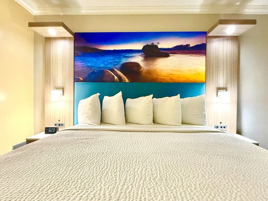 Quarto standard, 1 cama King | Roupas de cama premium, cofres nos quartos, escrivaninha