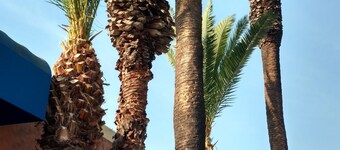 Days Inn by Wyndham Los Angeles LAX/VeniceBch/Marina DelRay