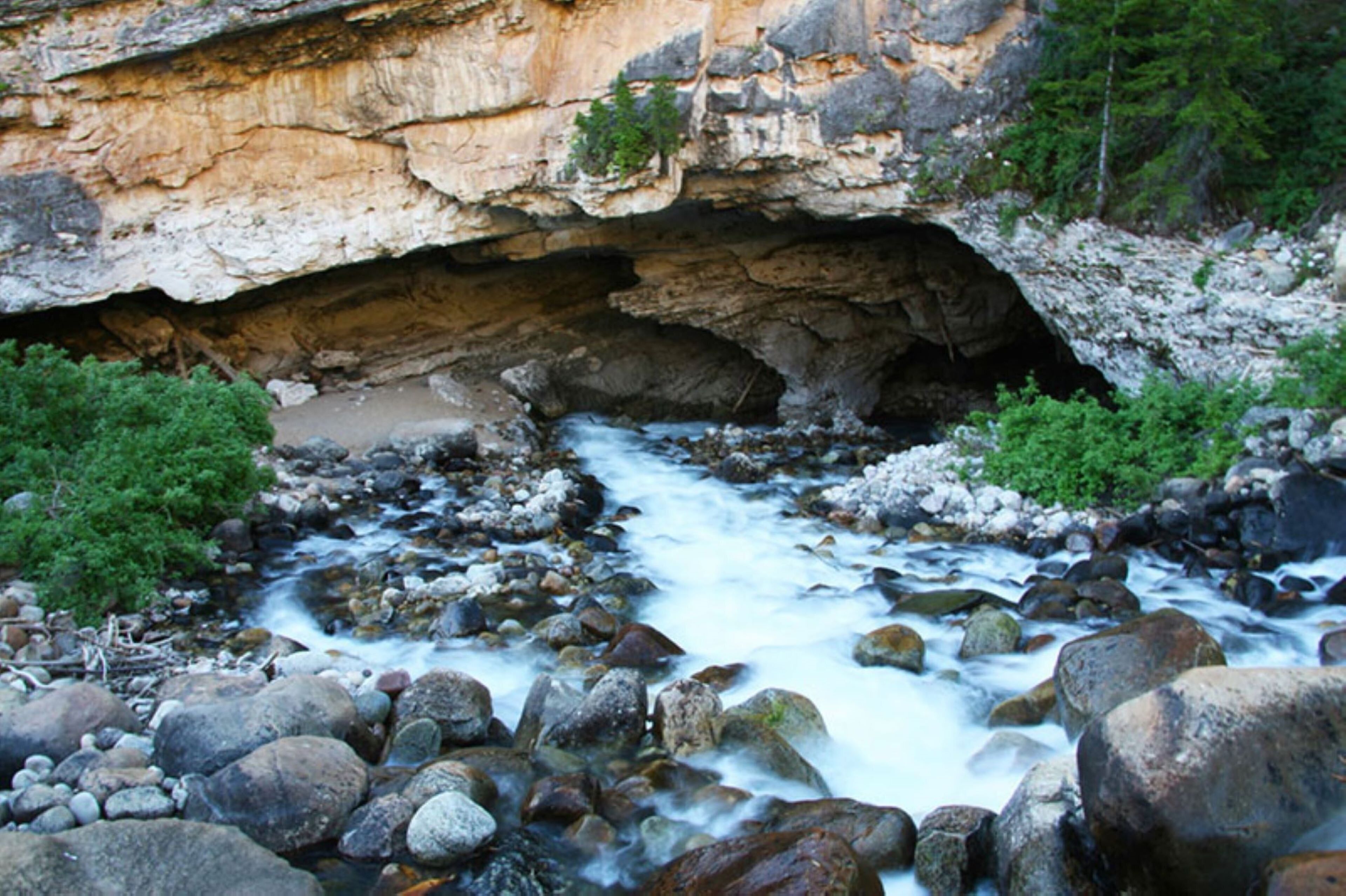 A rocky stream with a cave entrance and surrounding greenery.