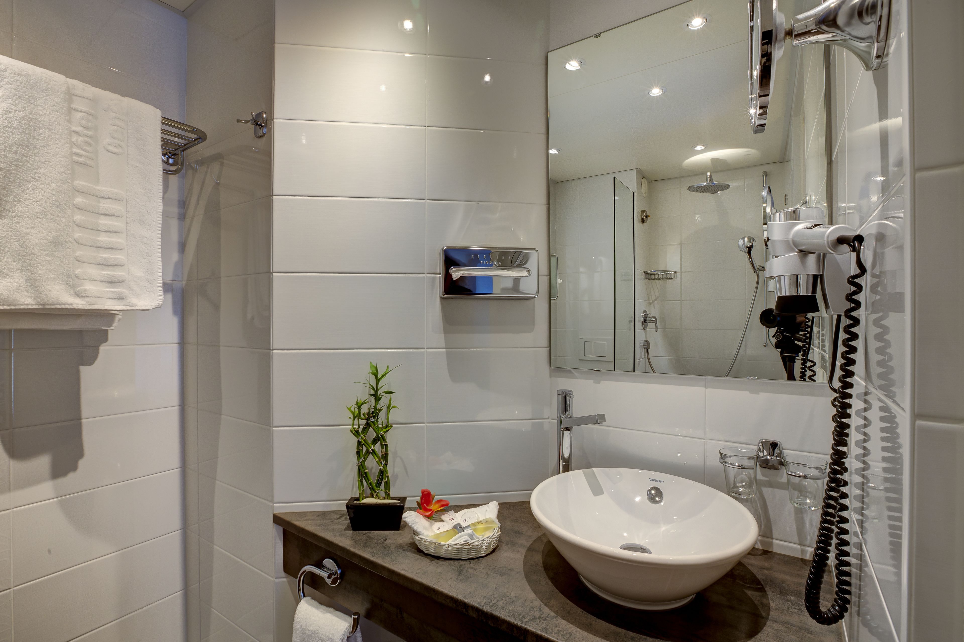 combined shower/bathtub, free toiletries, hair dryer, towels