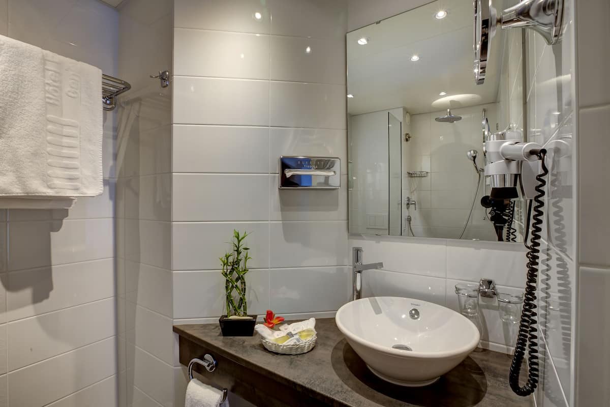 combined shower/bathtub, free toiletries, hair dryer, towels