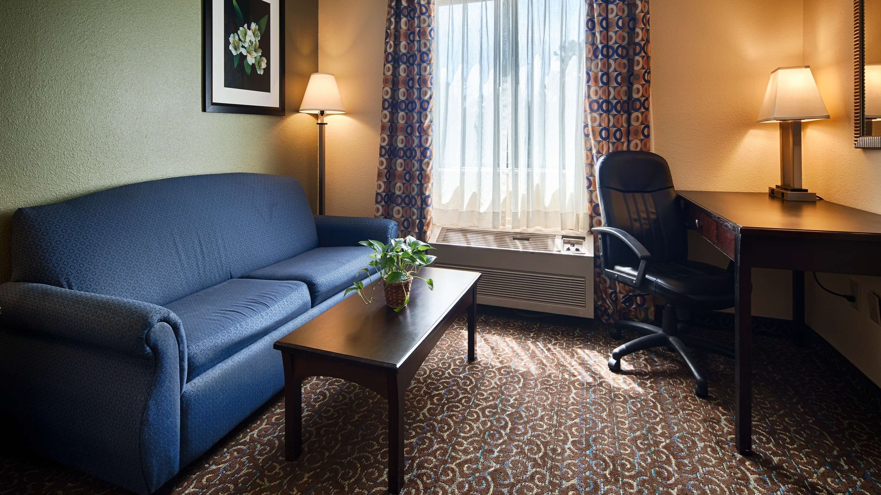 Habitación de hotel con un sofá azul, una mesita con una planta, un escritorio con una silla y un gran ventanal con cortinas.