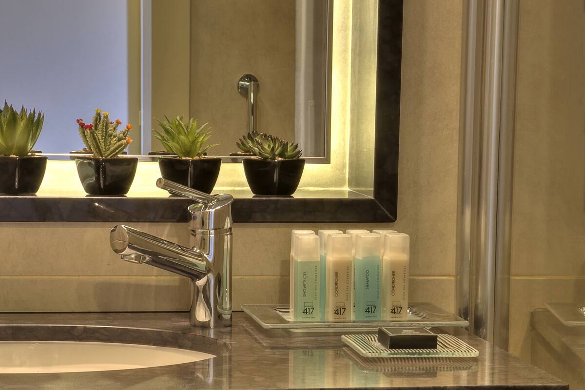A bathroom with a modern sink, a mirror, and potted plants.