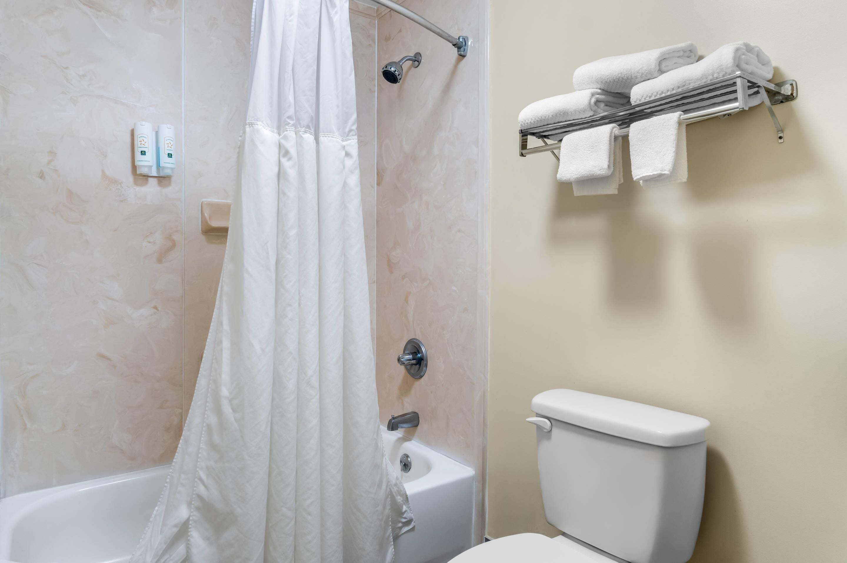 A bathroom with a shower, toilet, and towel rack.