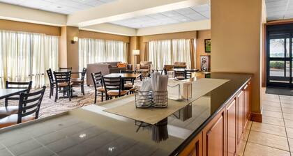 Quality Inn Union City US 51