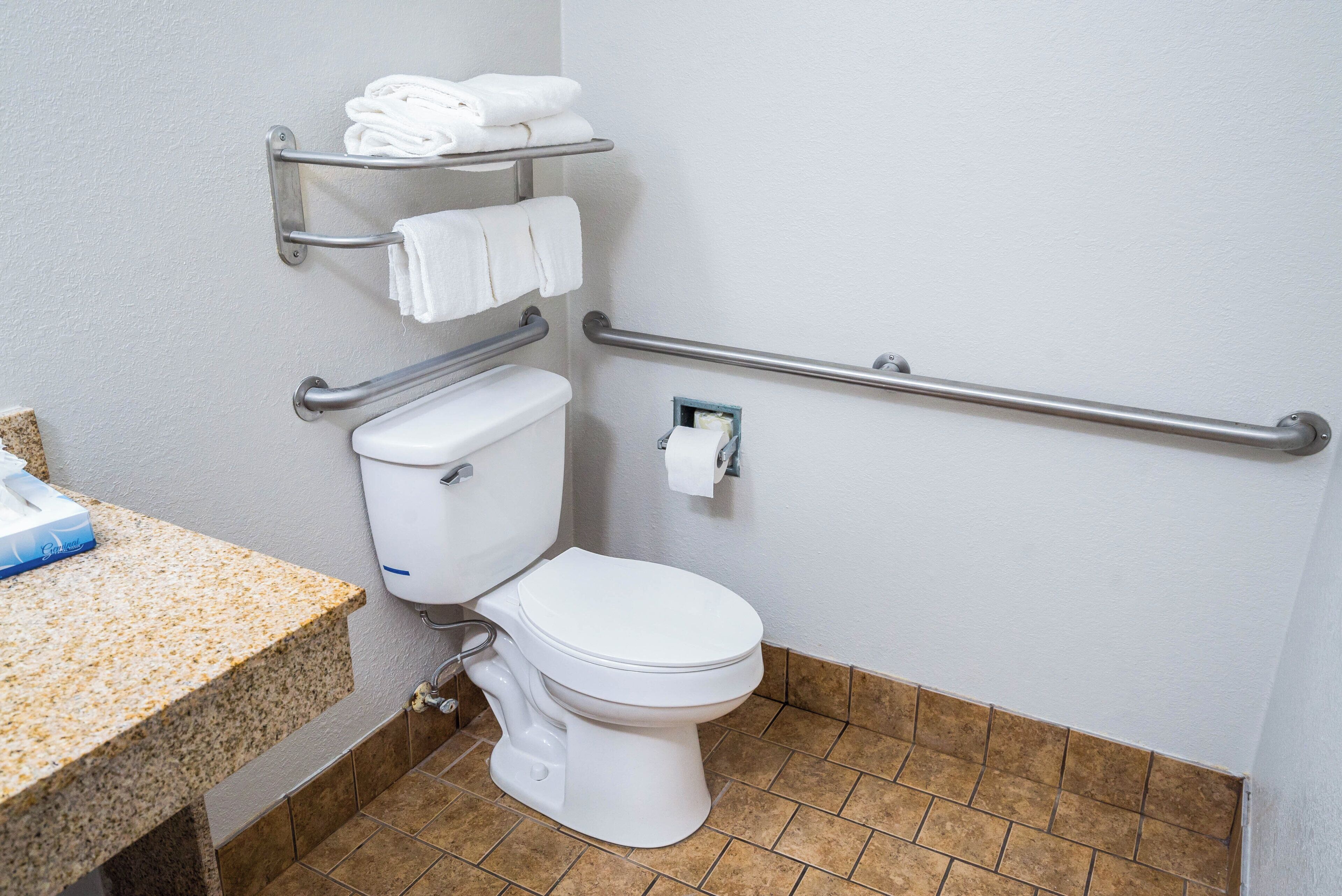 Ein Badezimmer mit Toilette, Haltegriffen, einem Handtuchhalter und einem Toilettenpapierhalter.