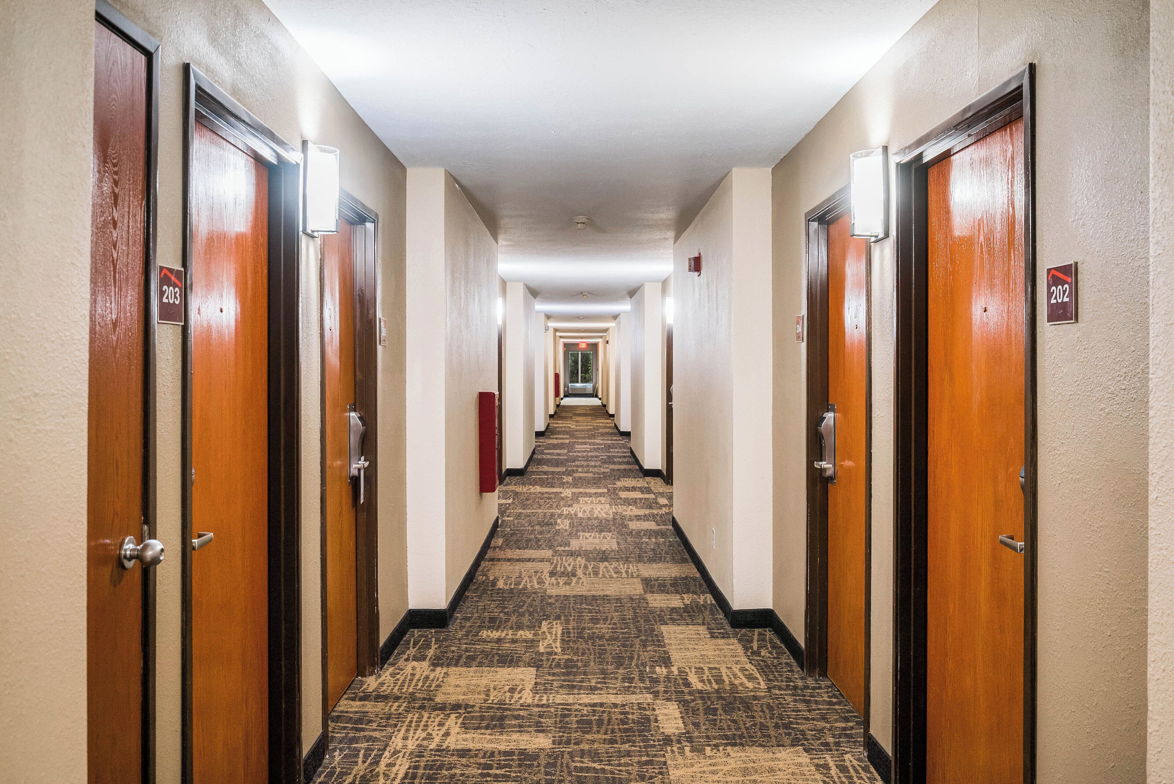 A hotel hallway with doors numbered 202 and 203, carpeted floors, and a ceiling light.