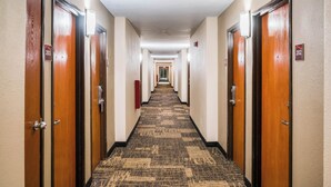 Un couloir d’hôtel avec des portes numérotées 202 et 203, un sol recouvert de moquette et un luminaire au plafond.