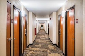 Een hotelgang met deuren genummerd 202 en 203, met vloerbedekking en een plafondlamp.