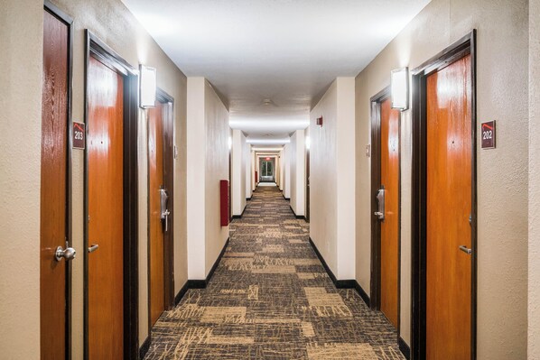 A hotel hallway with doors numbered 202 and 203, carpeted floors, and a ceiling light.