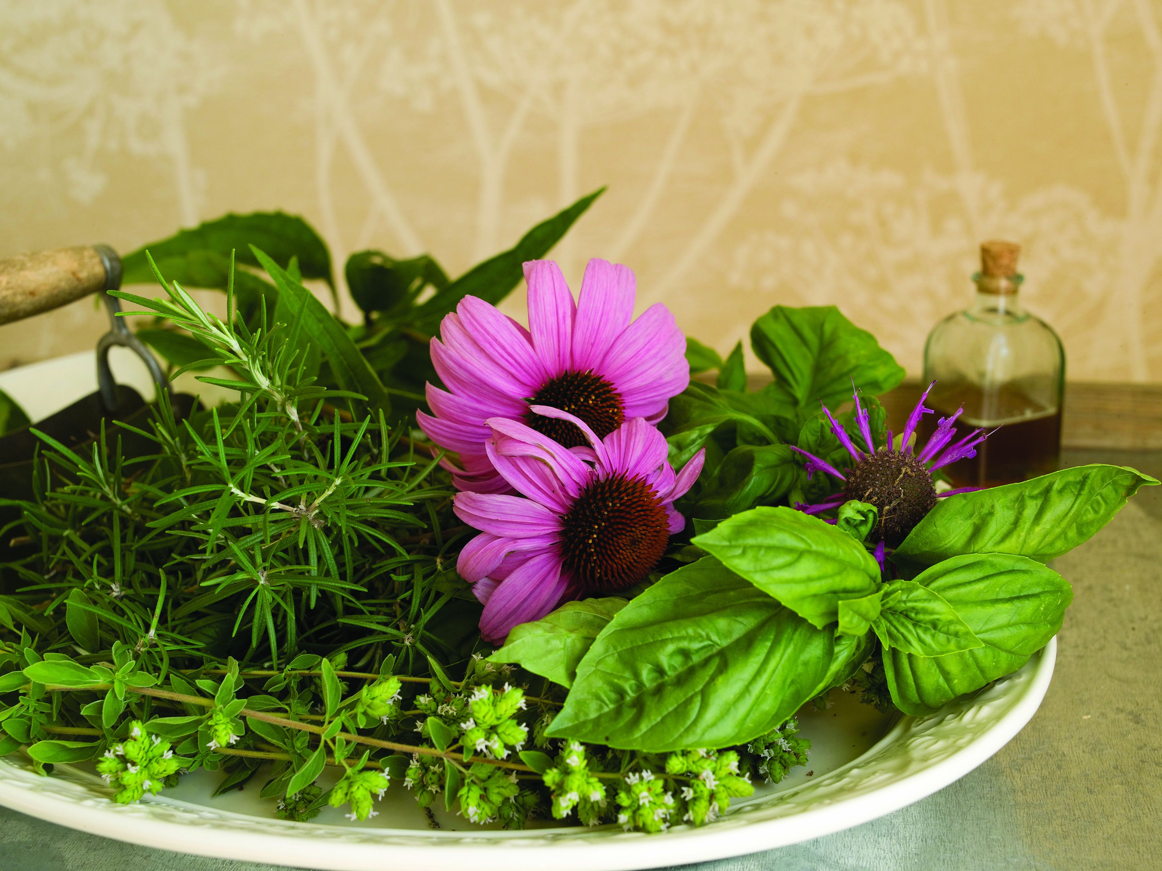 sauna, body treatments, aromatherapy, facials, manicures and pedicures