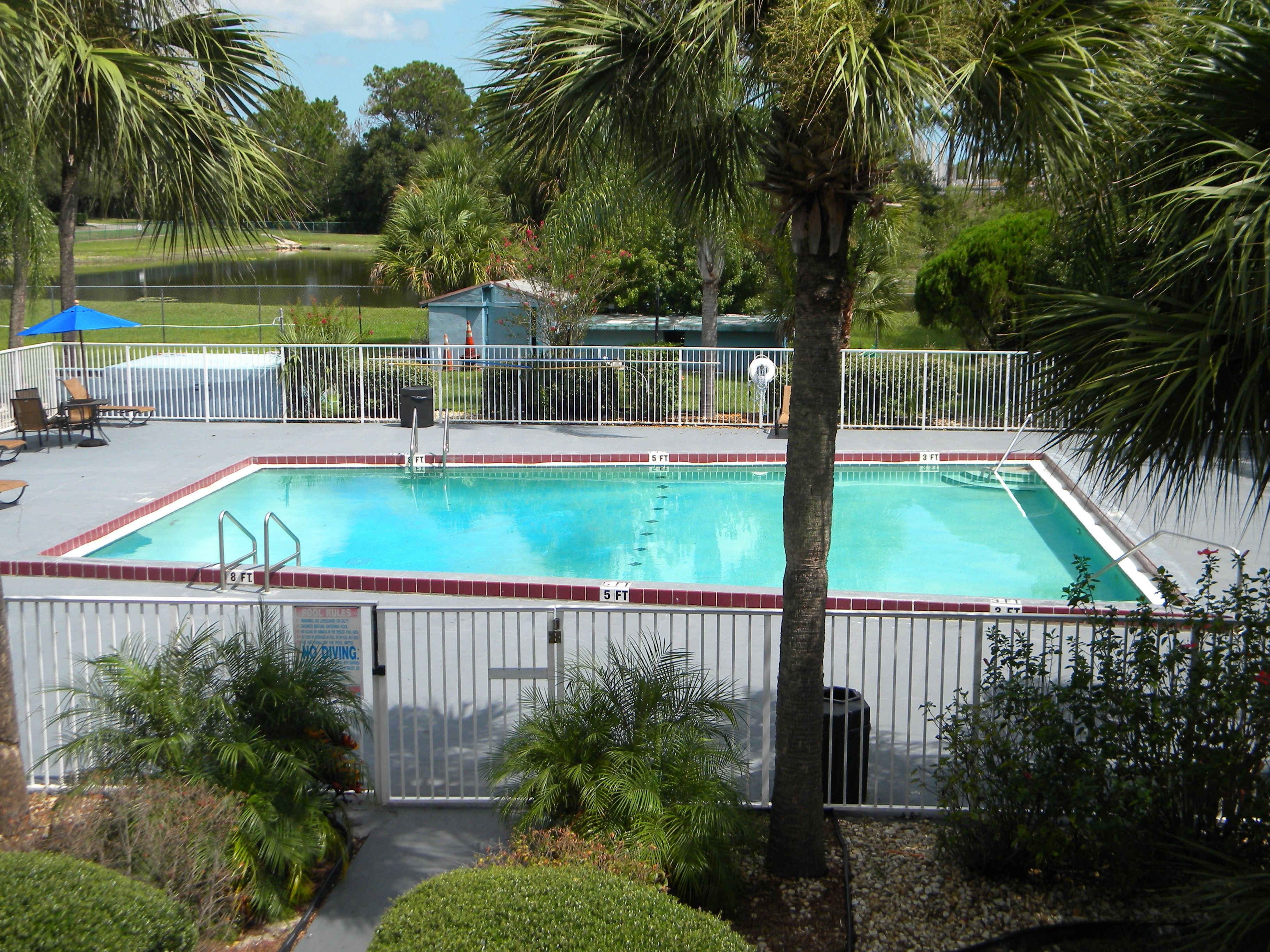 A rectangular pool with a white fence, surrounded by palm trees and a grassy area.