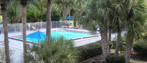 A swimming pool surrounded by palm trees and a white fence.