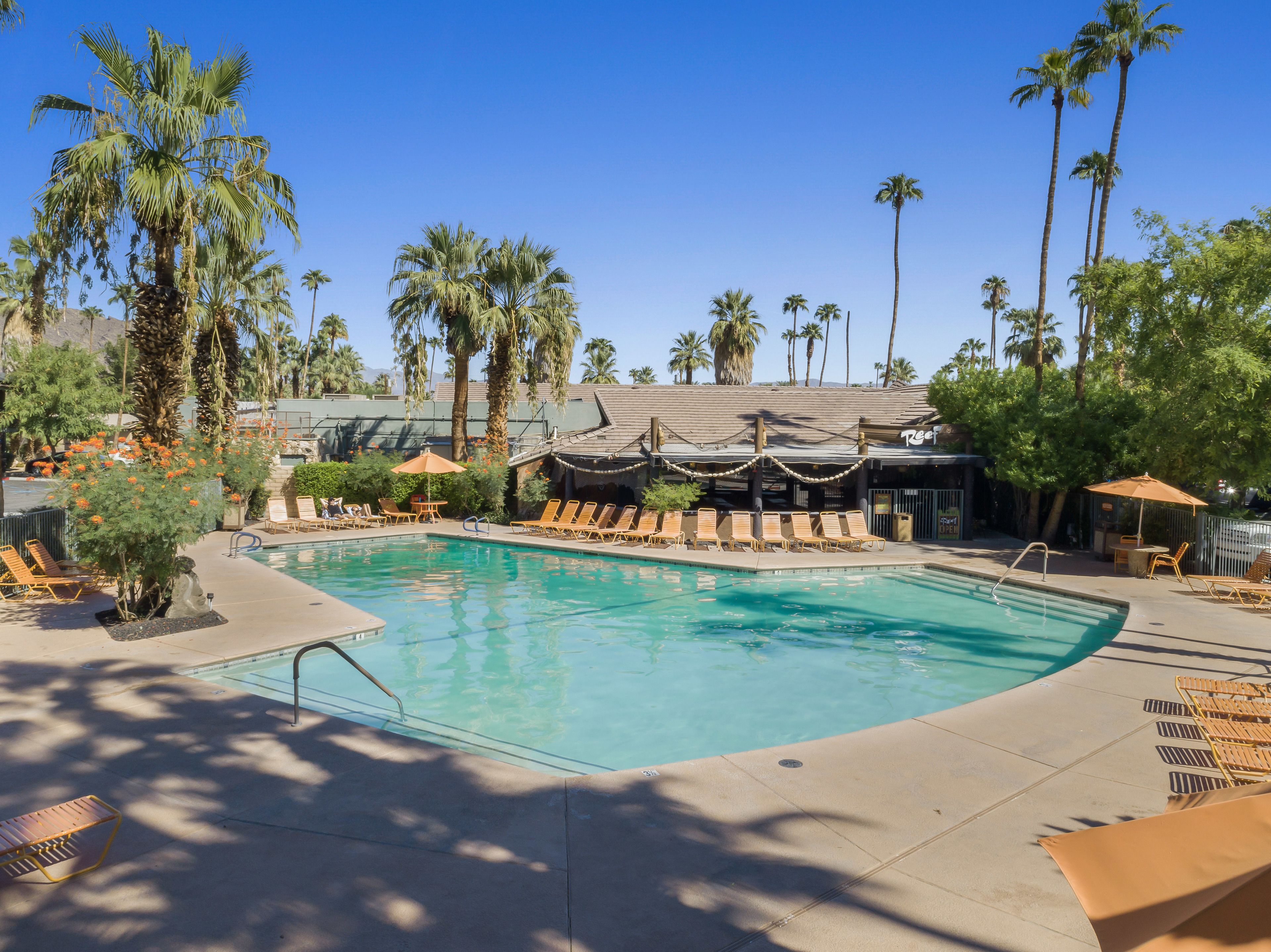 A pool area with lounge chairs and umbrellas, surrounded by palm trees and a building with a sign reading "Reef".