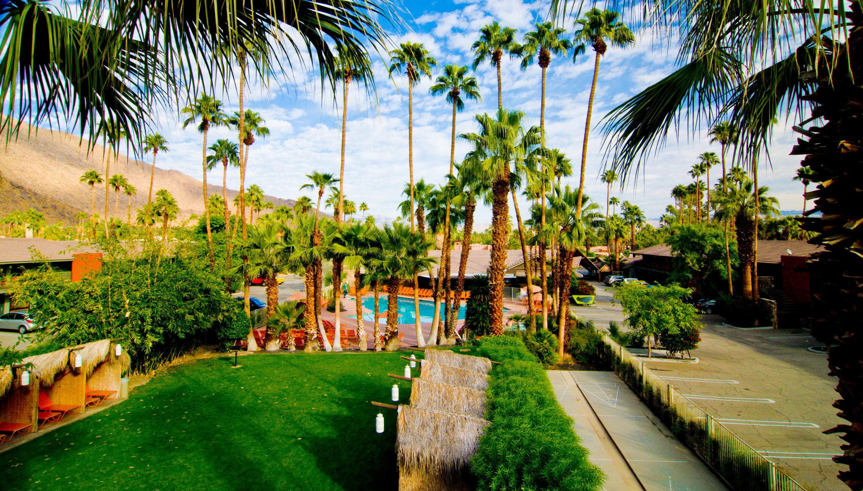 Photo - Caliente Tropics