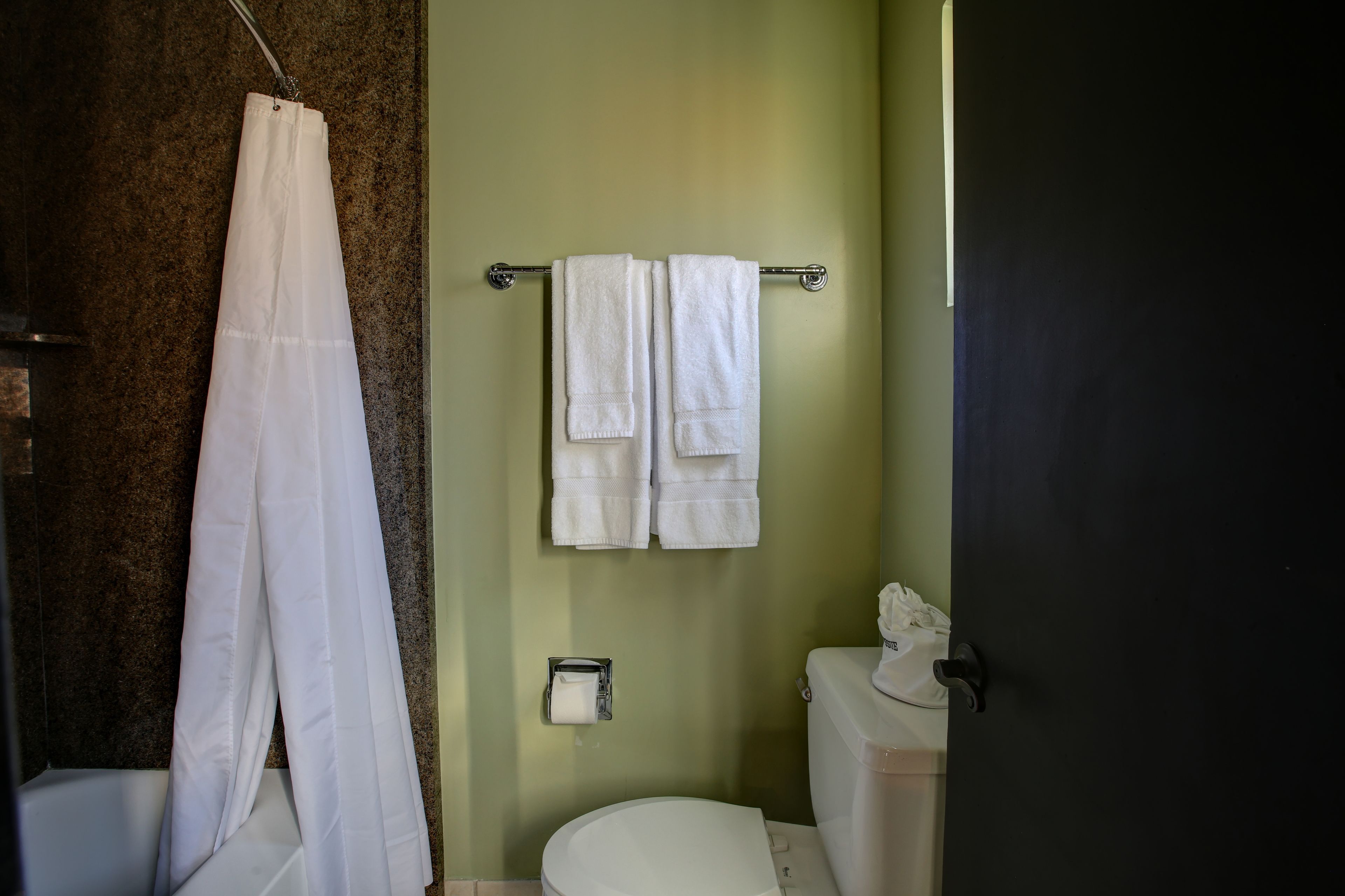 A bathroom with a shower curtain, two towels hanging on a rack, a toilet, and a toilet paper holder.