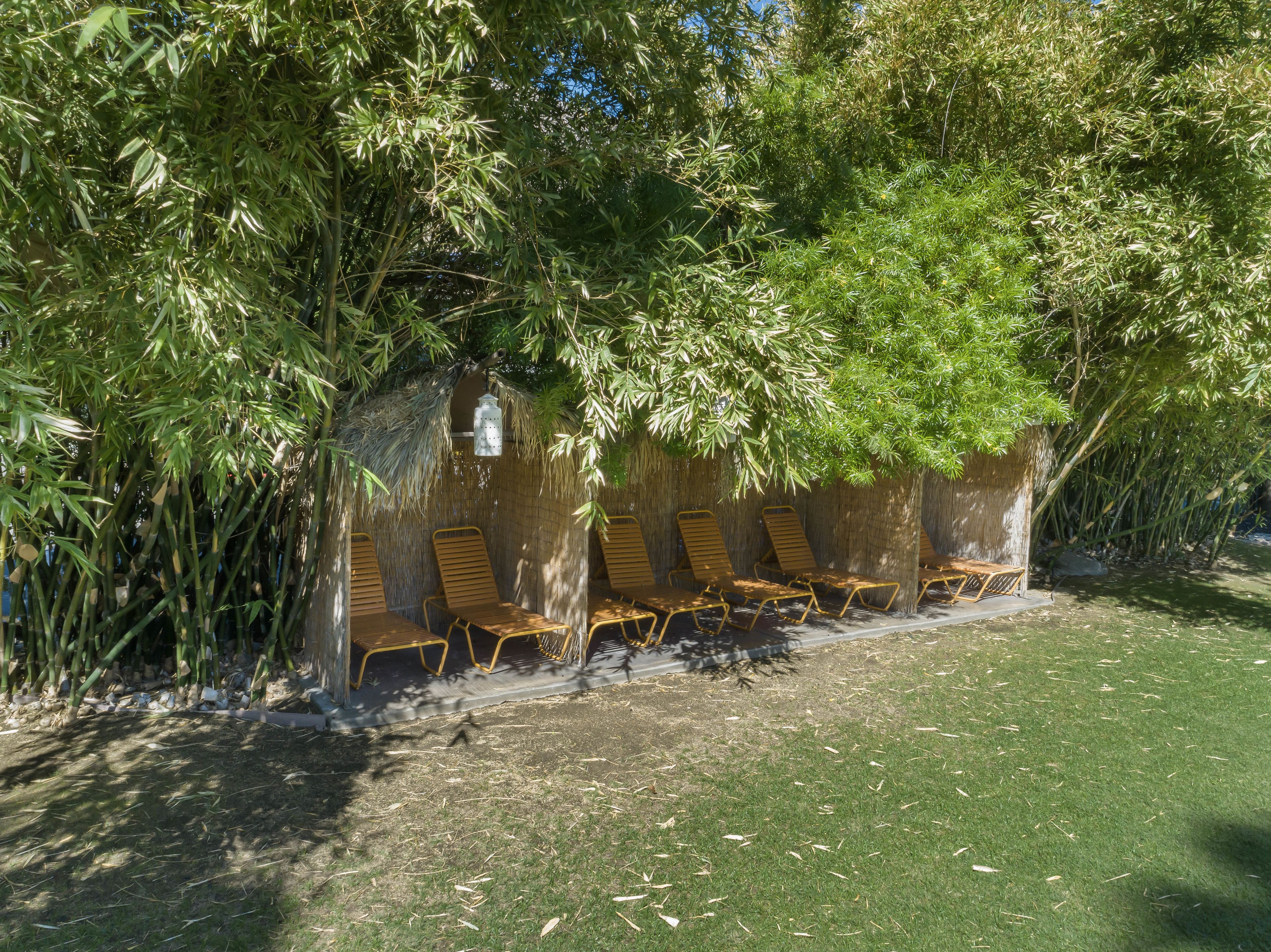 A row of wooden lounge chairs under a bamboo tree canopy, with a thatched roof structure in the background.
