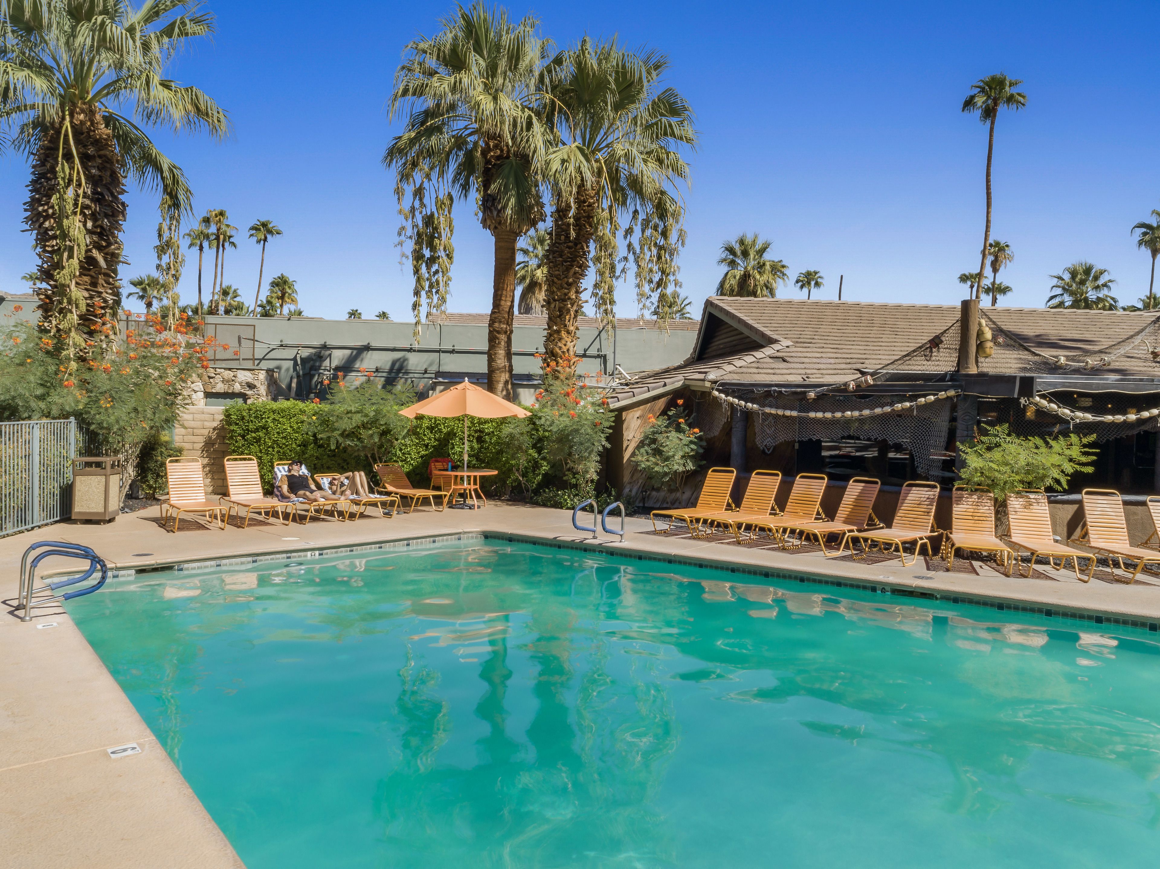 Photo - Caliente Tropics