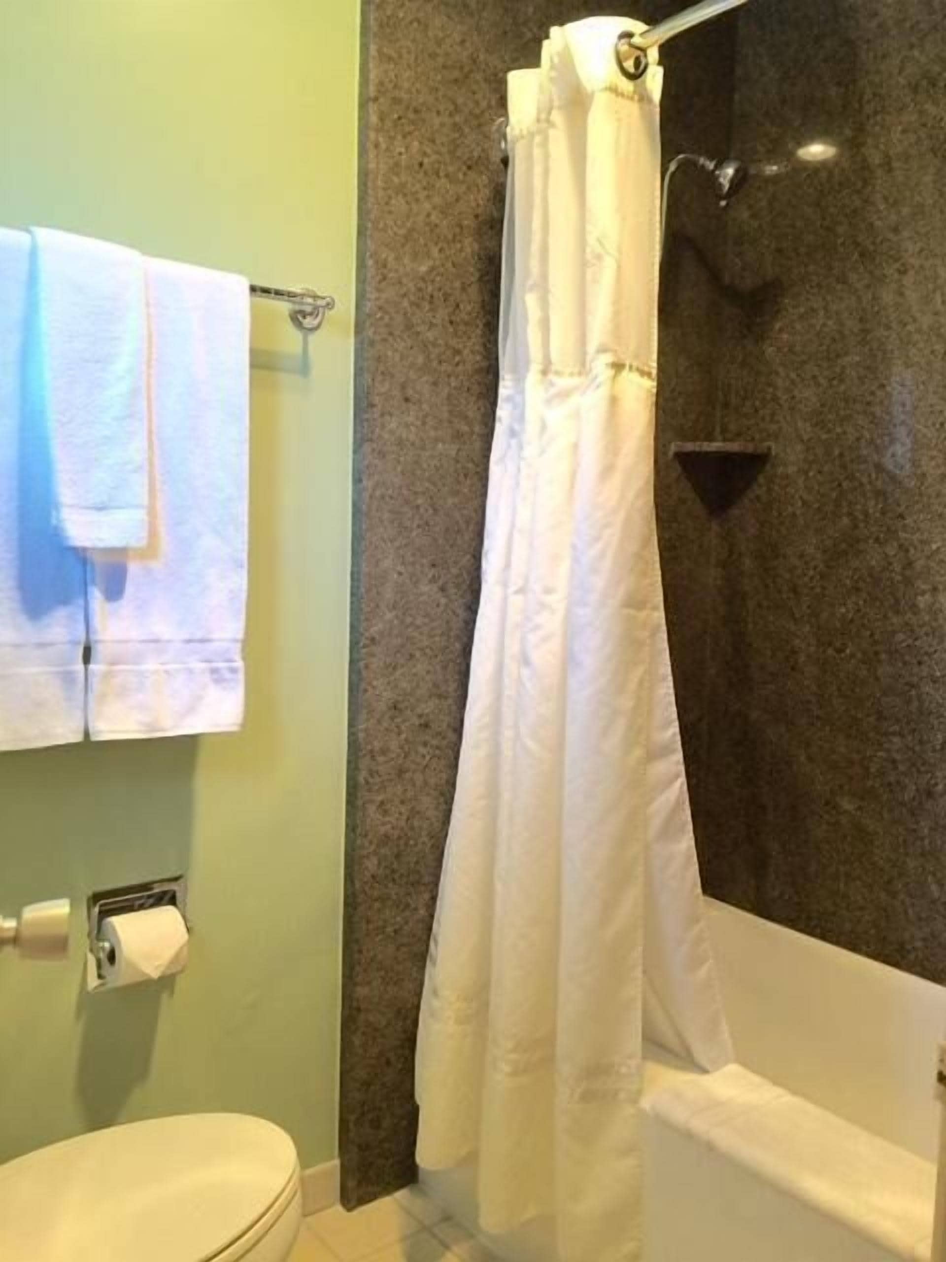 Ein Badezimmer mit Toilette, Handtuchhalter mit Handtüchern, einer Duschvorhang und einer Badewanne.