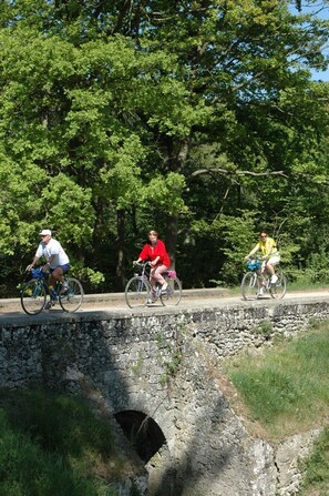 Segway-tours