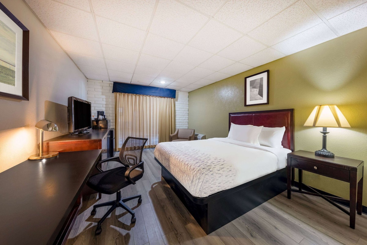 Una habitación de hotel con cama, escritorio, silla y televisor.
