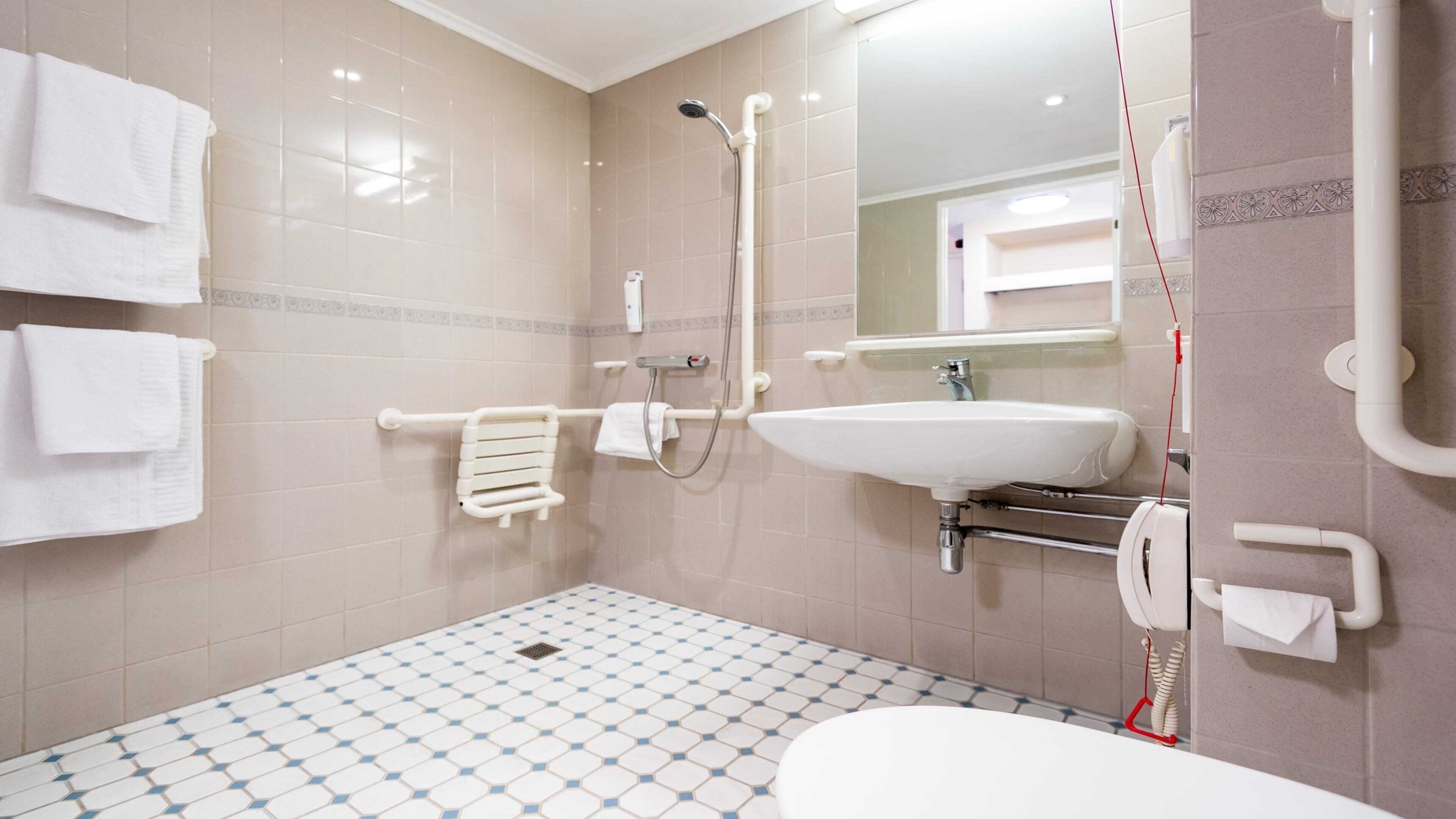 Une salle de bain avec un lavabo blanc, une douchette à main, un porte-serviettes et un porte-rouleau de papier toilette.