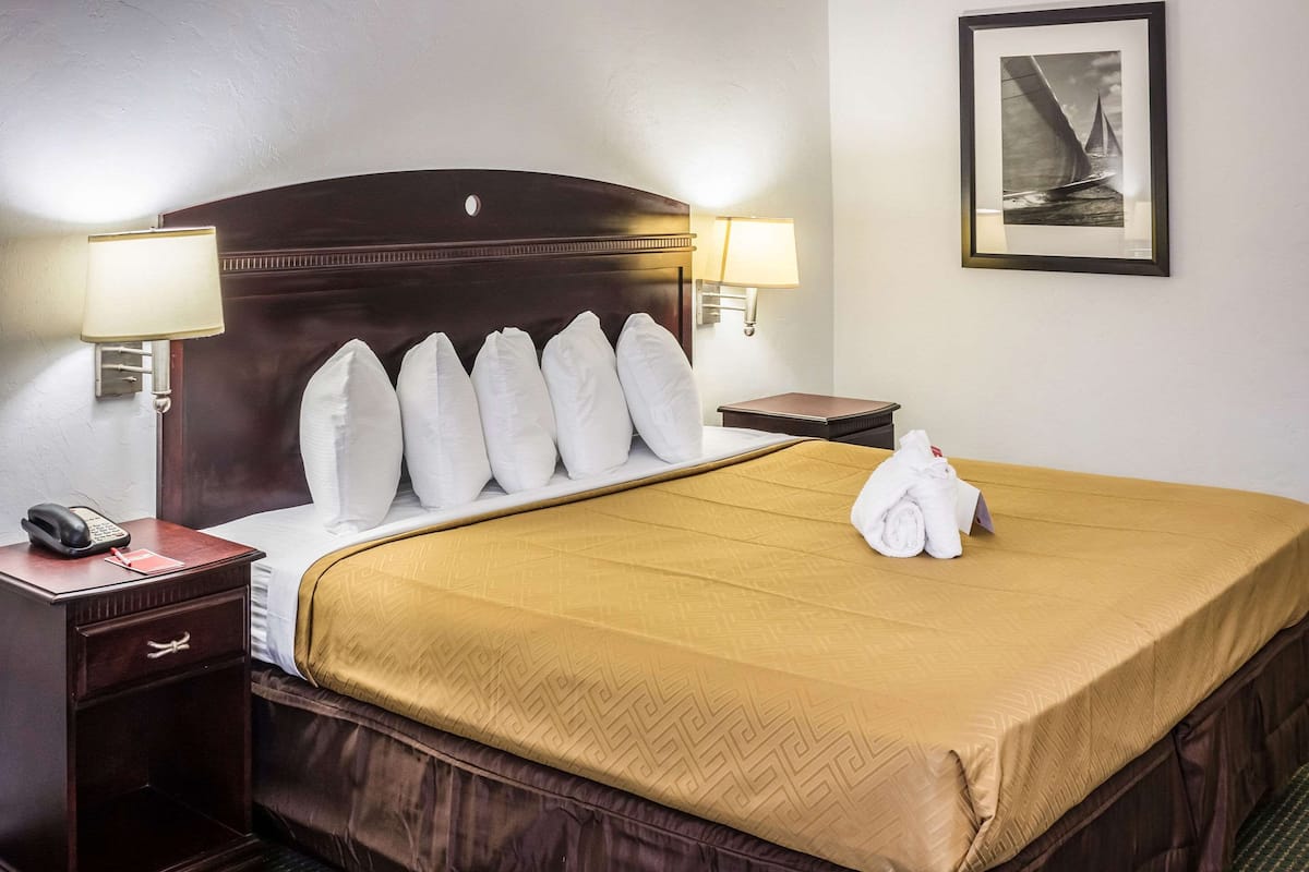 Standard Room, 1 King Bed, Non Smoking
