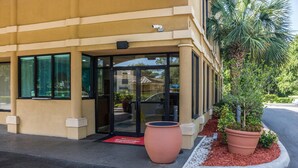 Entrada de un edificio con puerta de vidrio, una planta grande y una palmera.