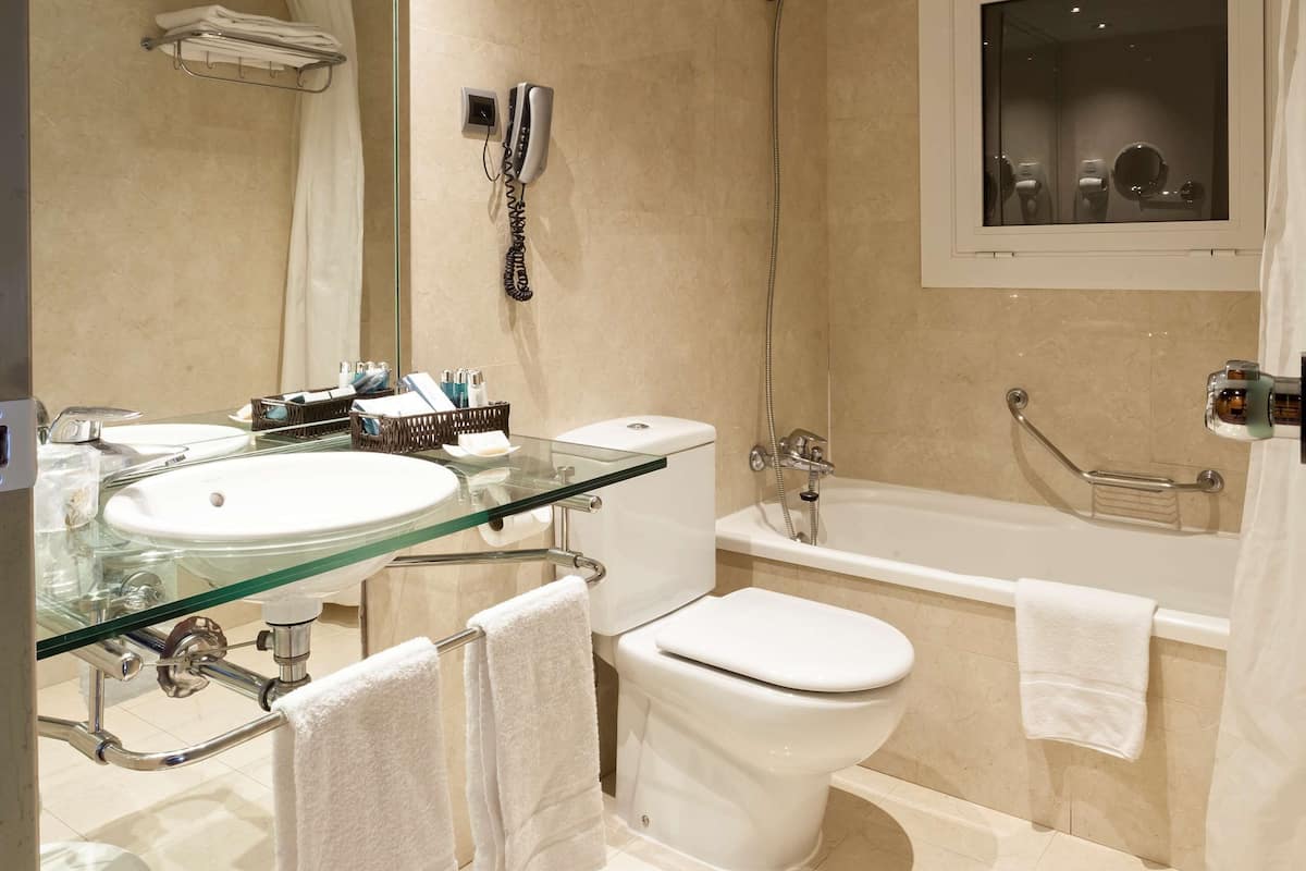 combined shower/bathtub, free toiletries, hair dryer, towels