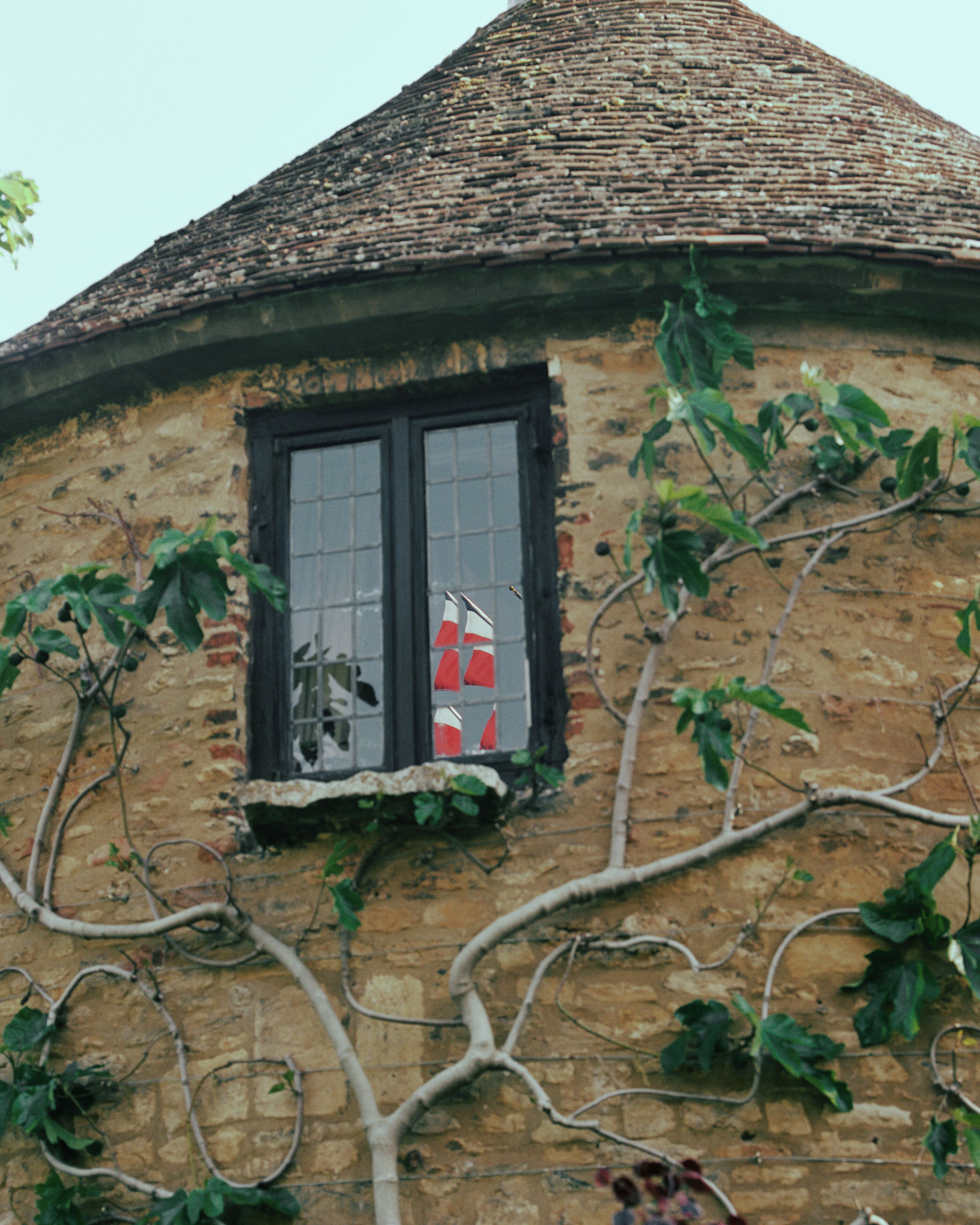 A rustic building with a tiled roof, a window with a red and white flag, and vines growing on the walls.
