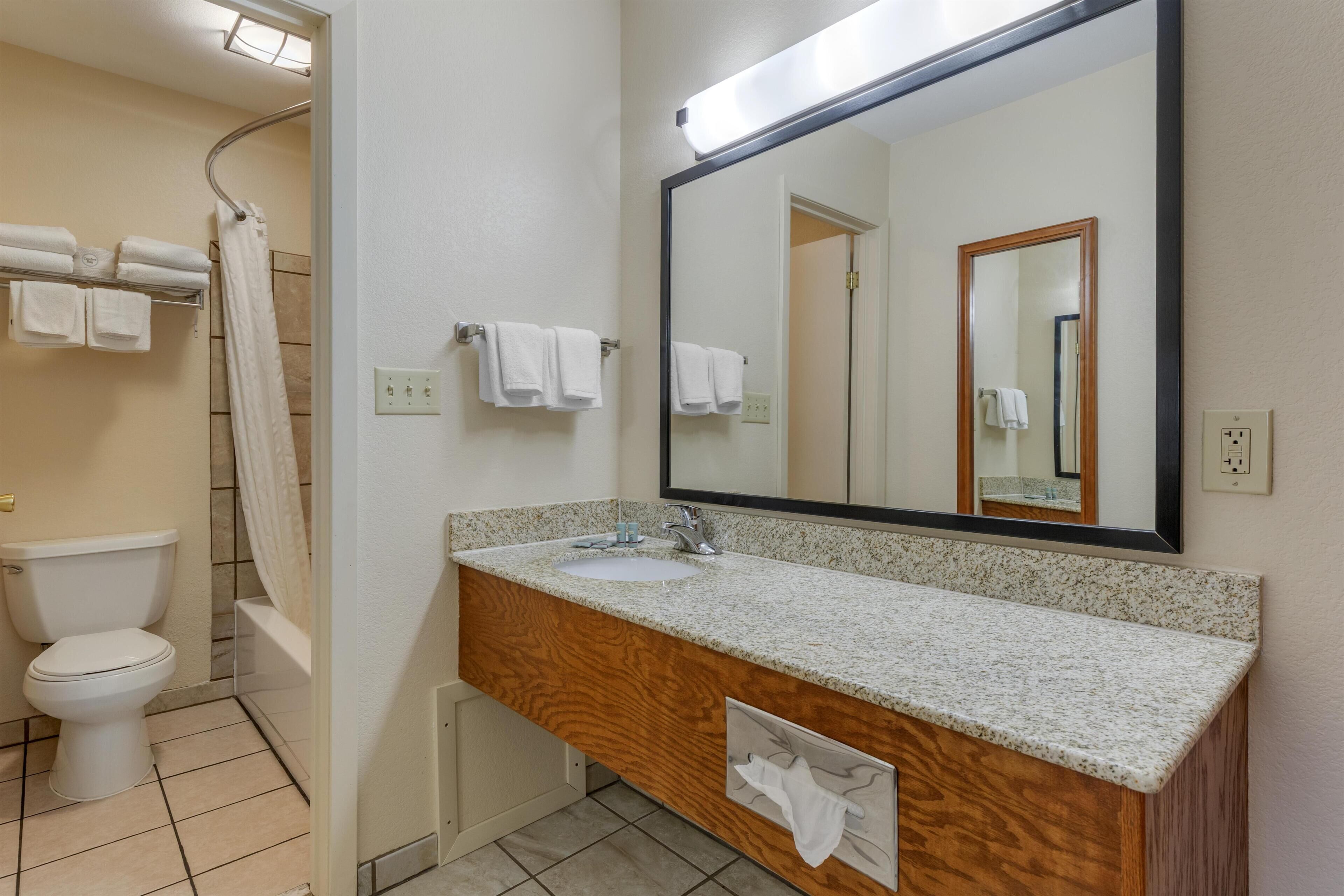 A bathroom with a white sink, wooden vanity, a large mirror, a shower curtain, and a toilet.