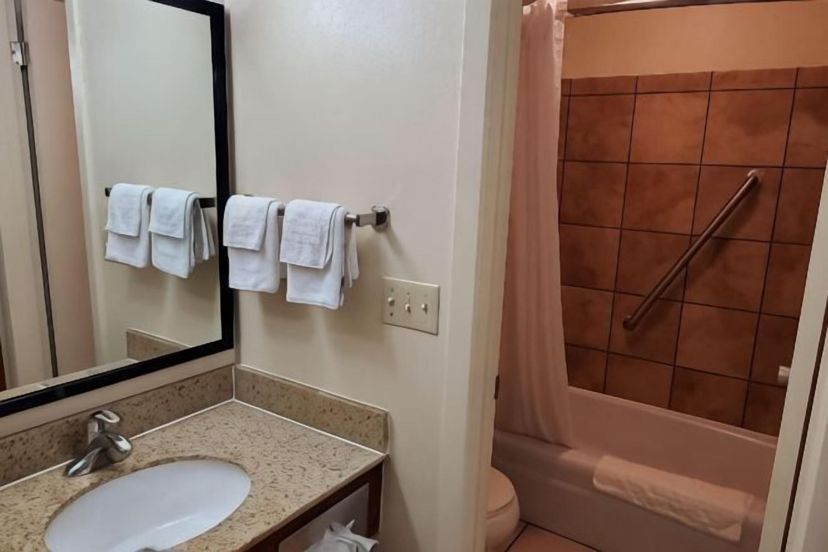 Baño | Amenidades de baño ecológicas, secadora de cabello, toallas 