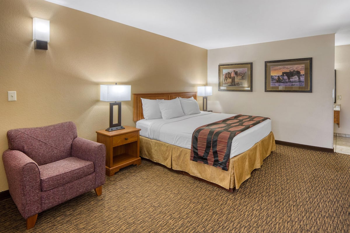 Standard Room, 1 King Bed, Non Smoking, Refrigerator & Microwave | Laptop workspace, iron/ironing board, cribs (free), WiFi (free)