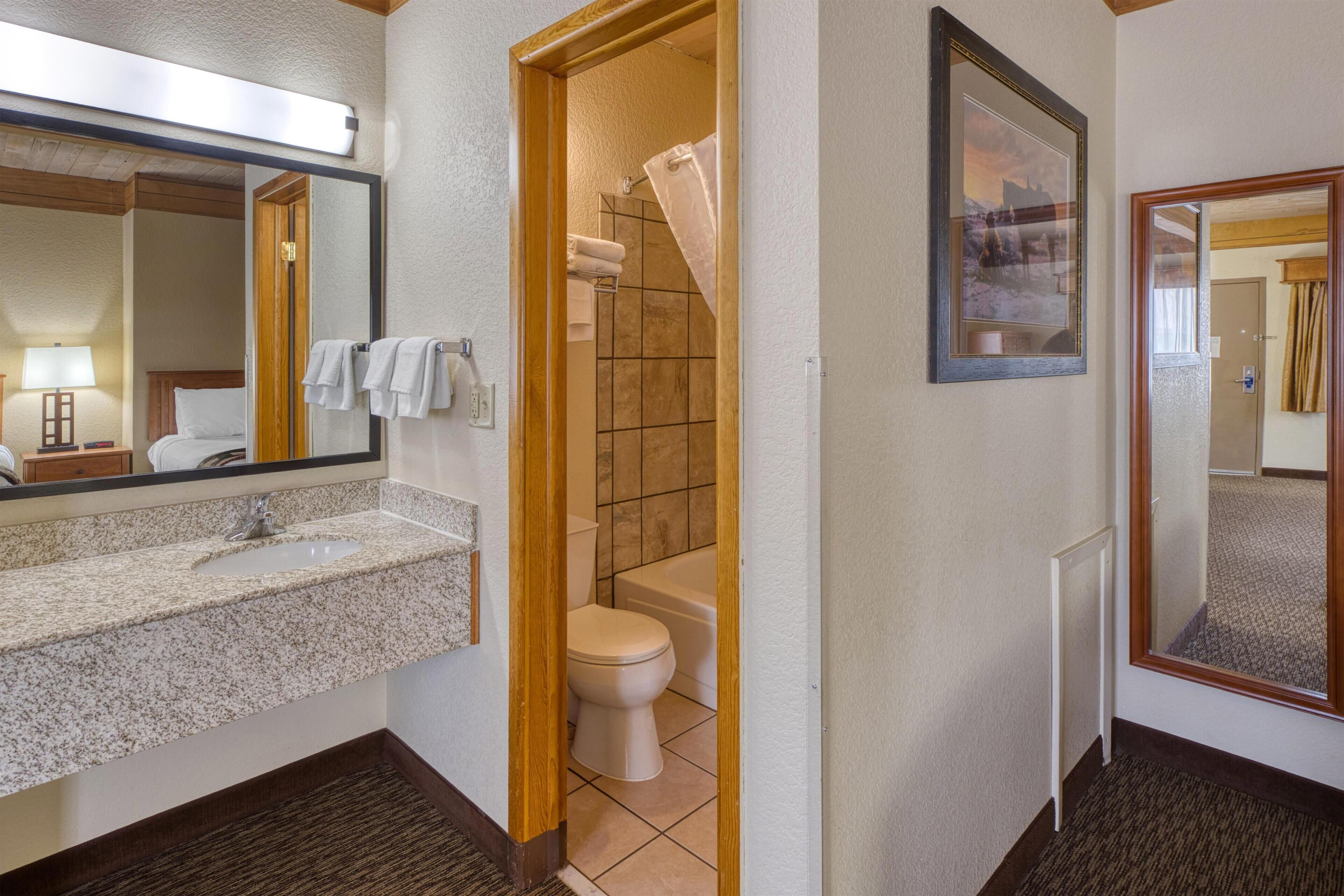 A bathroom with a sink, mirror, and toilet.