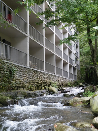 Property grounds. Sidney James Mountain Lodge