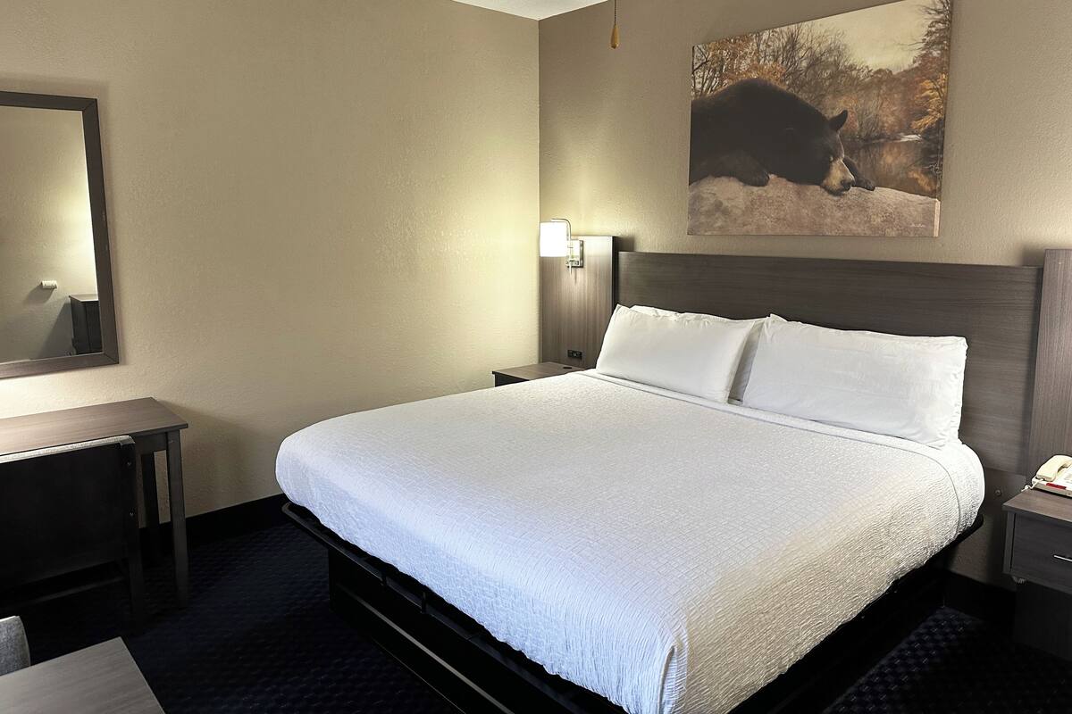 Une chambre d’hôtel avec un grand lit, une table de chevet, une commode, une lampe fixée au mur et un tableau représentant un ours.