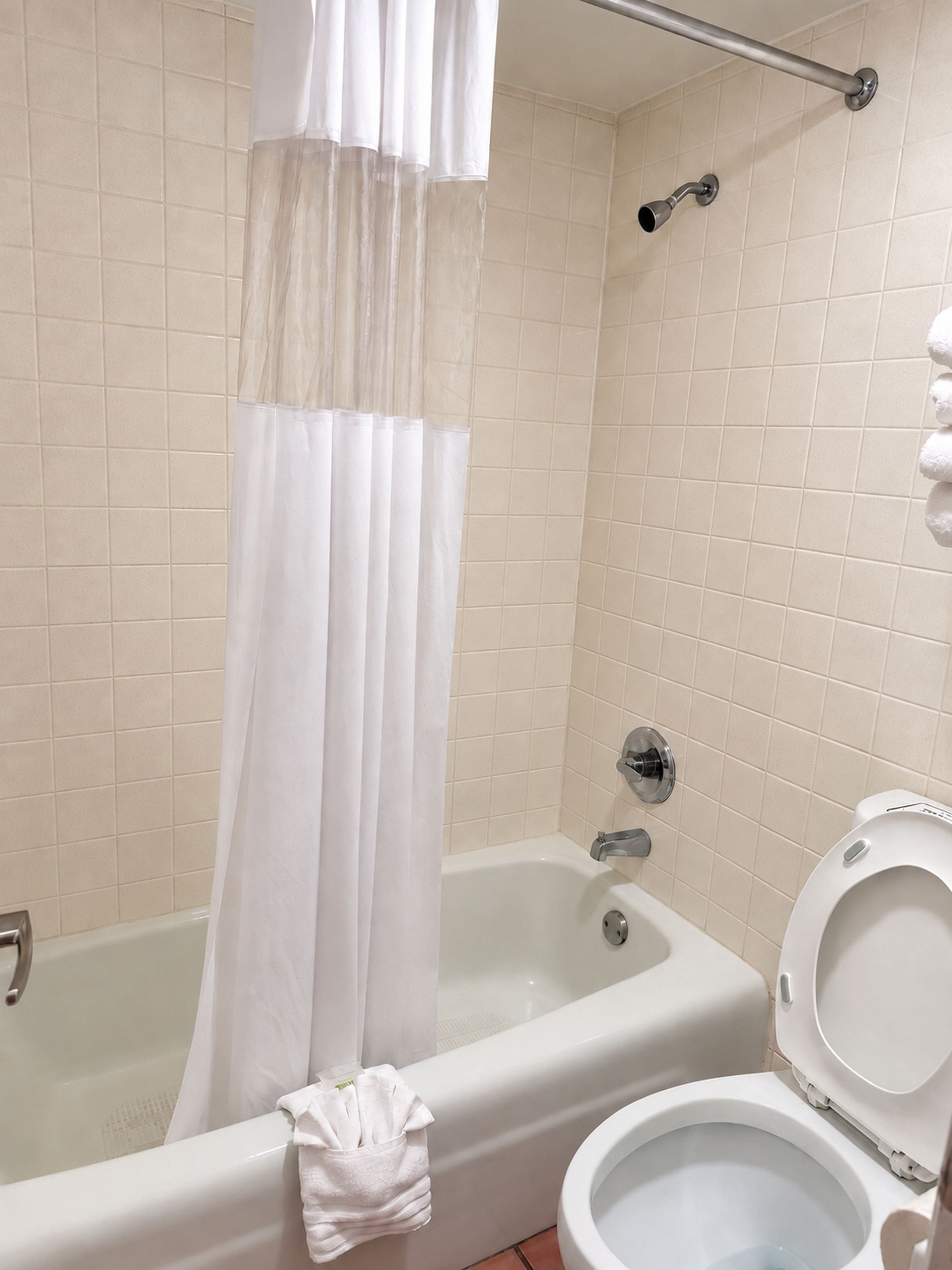 Un bagno con vasca, servizi igienici e tenda da doccia.