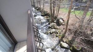 Vista de un río que serpentea por un área boscosa con rocas y árboles.