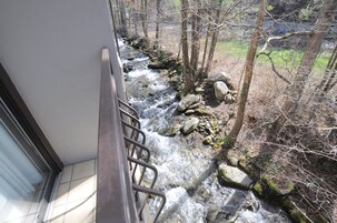 A view of a river flowing through a forested area with rocks and trees.