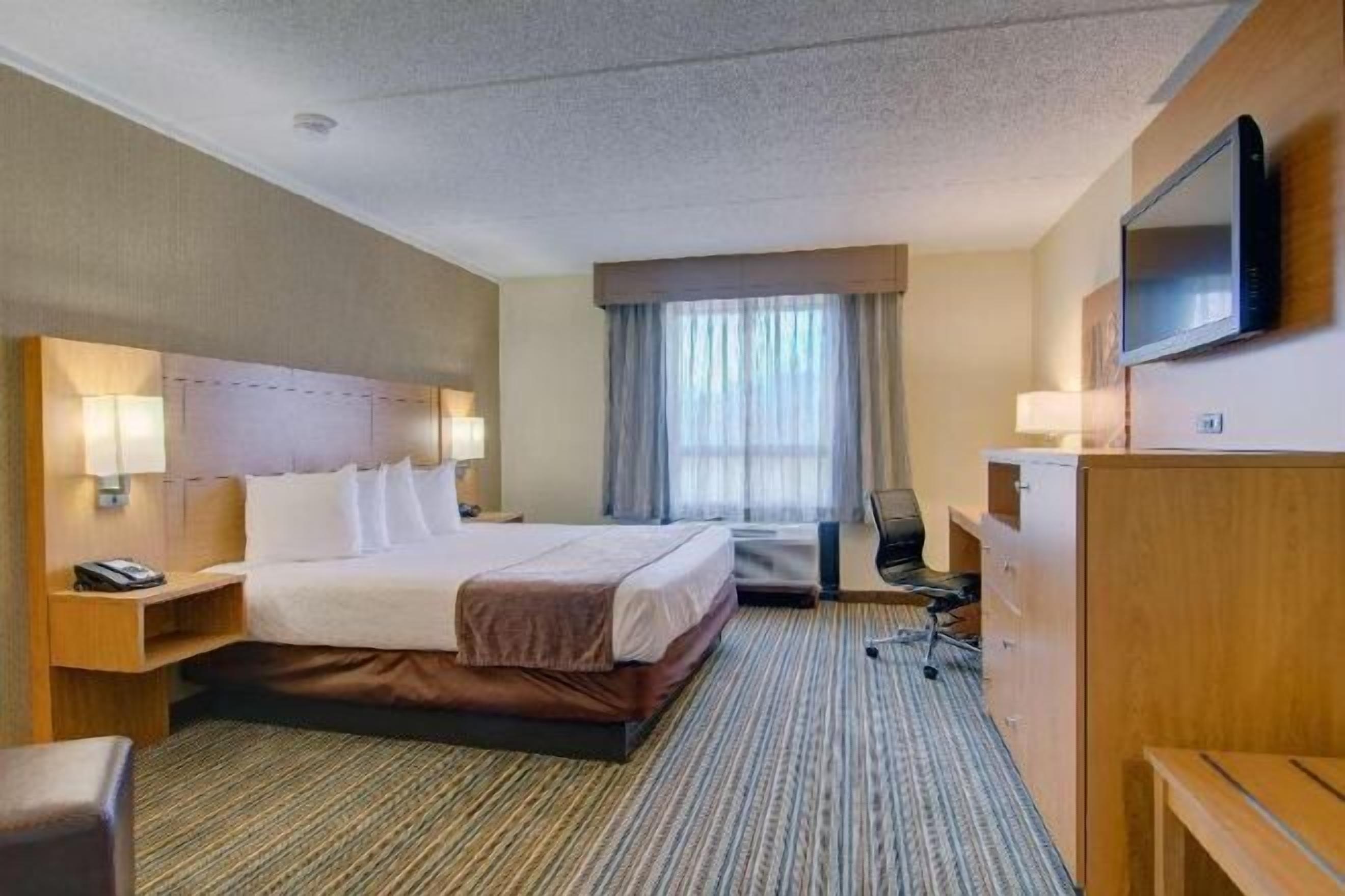 Desk, laptop workspace, iron/ironing board, free cribs/infant beds