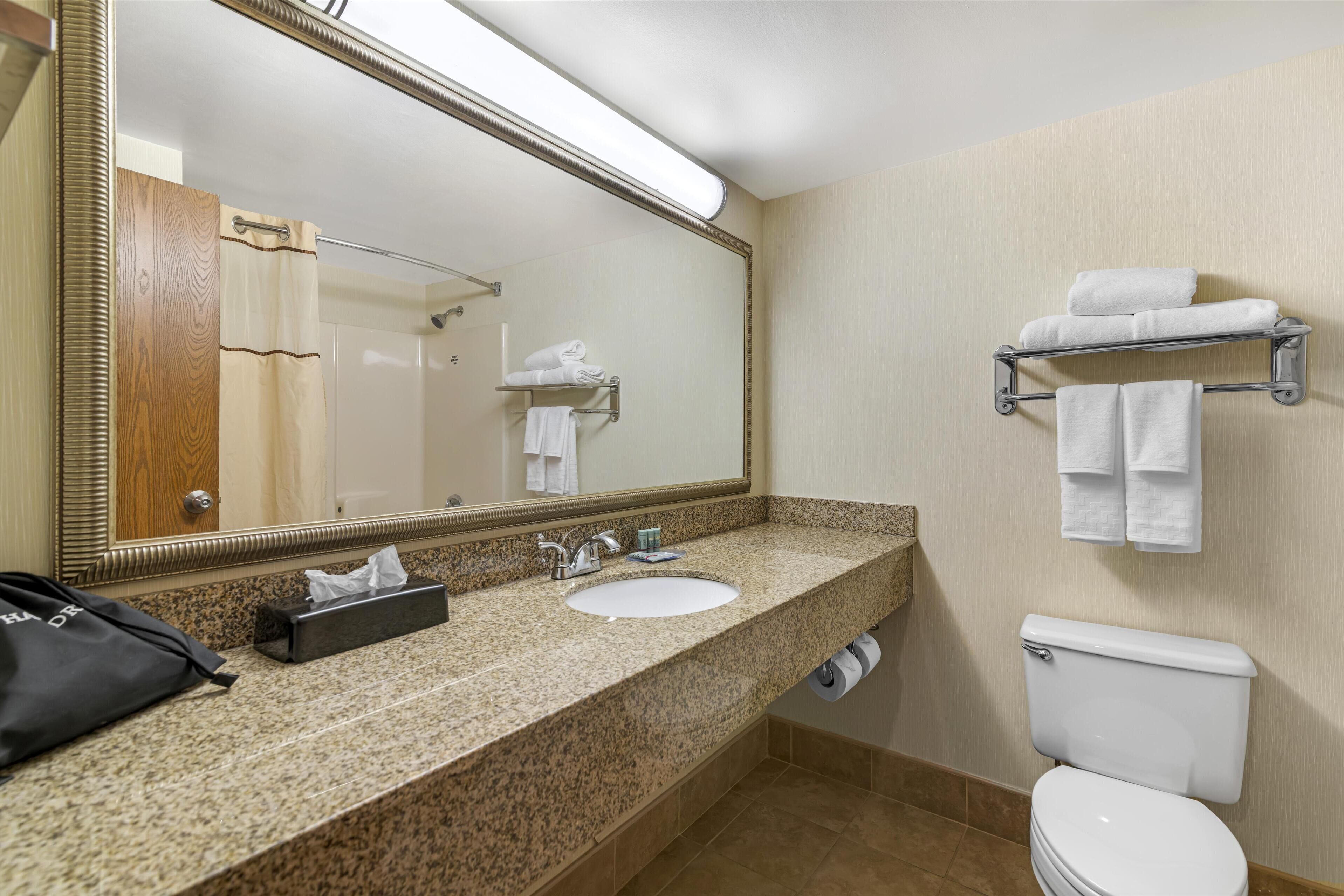 Un bagno con piano di lavoro in granito, lavandino bianco, specchio, portasciugamani e water.