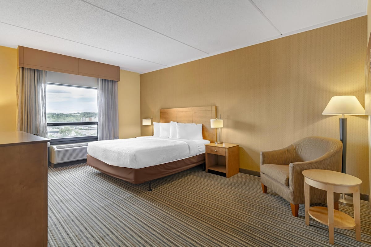 Standard Room, 1 King Bed, Non Smoking, Refrigerator & Microwave (Pet Friendly)