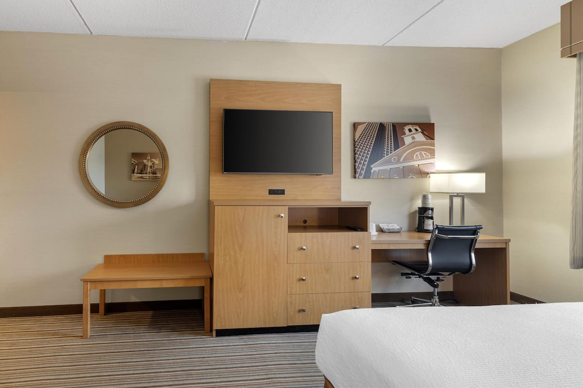 Standard Room, 1 King Bed, Non Smoking, Refrigerator & Microwave (with Sofabed)