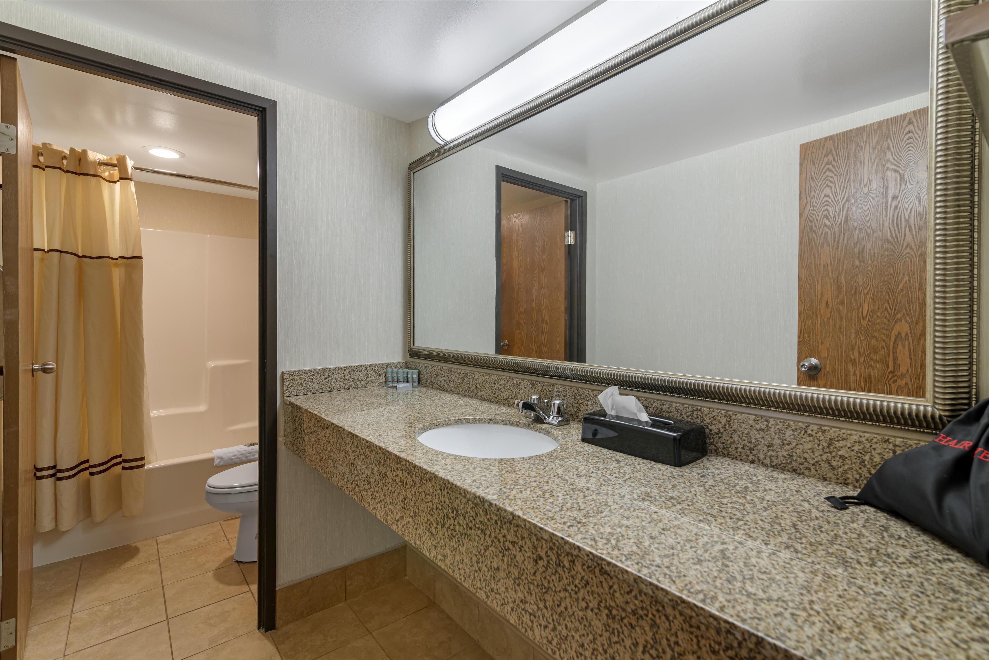 Un baño con lavabo, espejo e inodoro.