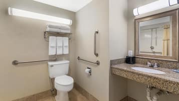 Un baño moderno con inodoro, barras de apoyo, lavamanos y espejo.