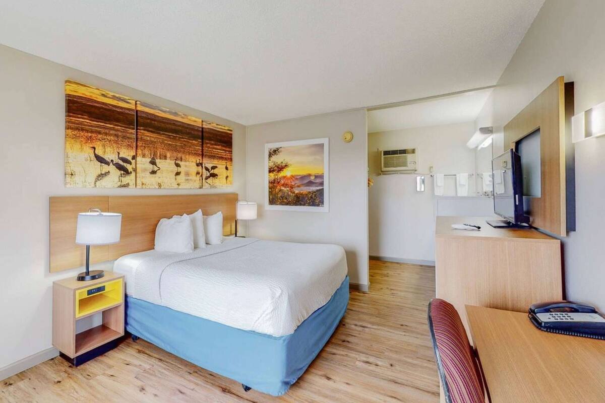 Quarto de hotel com cama, mesa de cabeceira, luminária, obra de arte, escrivaninha, cadeira e televisão.