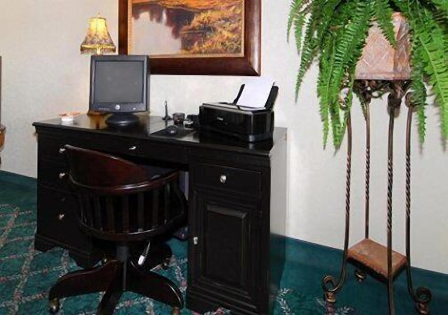 A wooden desk with a computer, a lamp, and a plant.