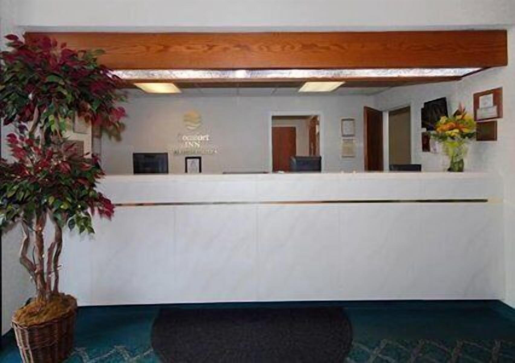 A reception desk with a sign that reads "Hotel Name," a potted plant, and a framed picture on the wall.