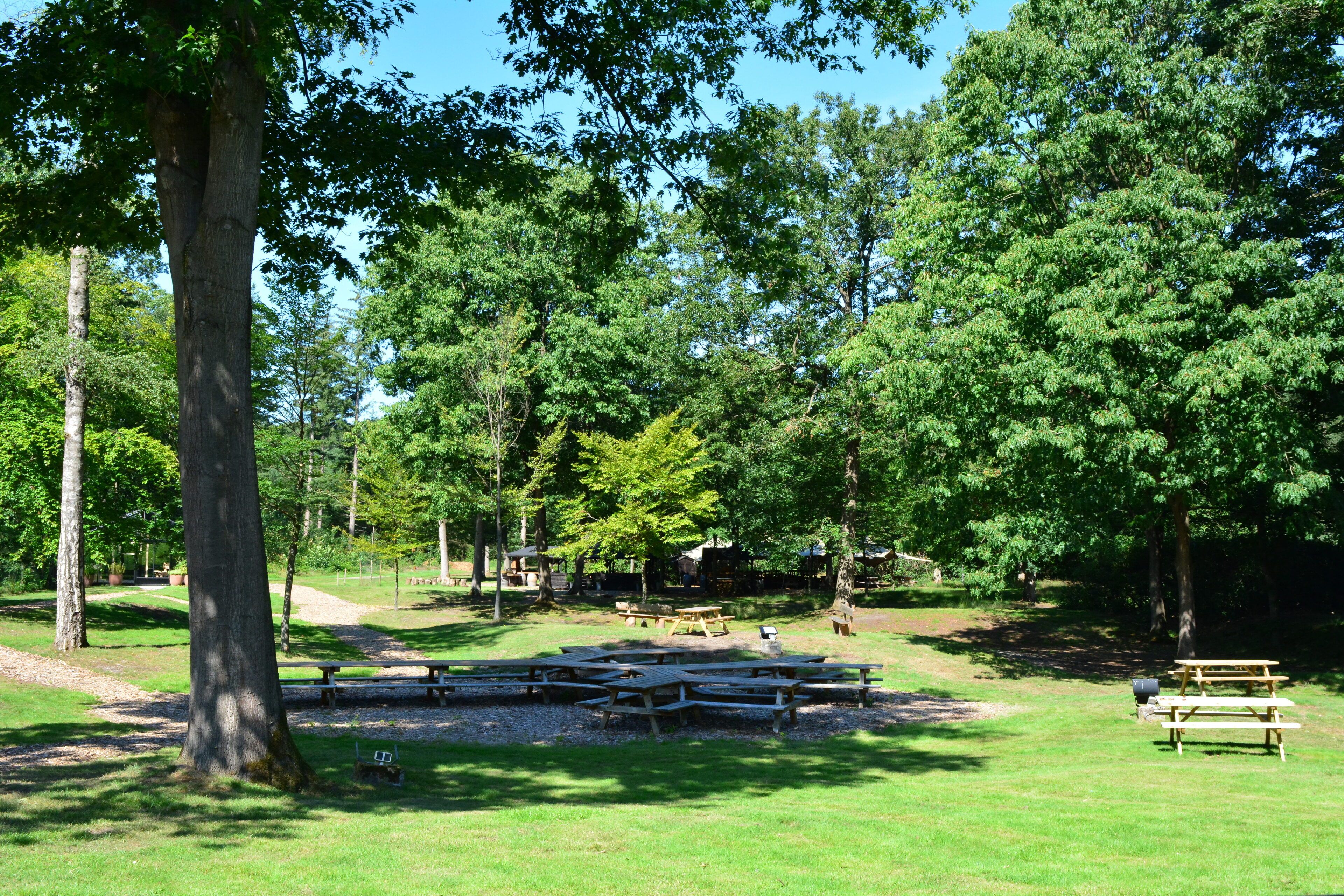 A park with picnic tables and benches, surrounded by trees.